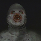 Image for article titled The io9 Guide to The X-Files